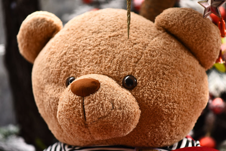 Soft brown teddy bear in warm low light