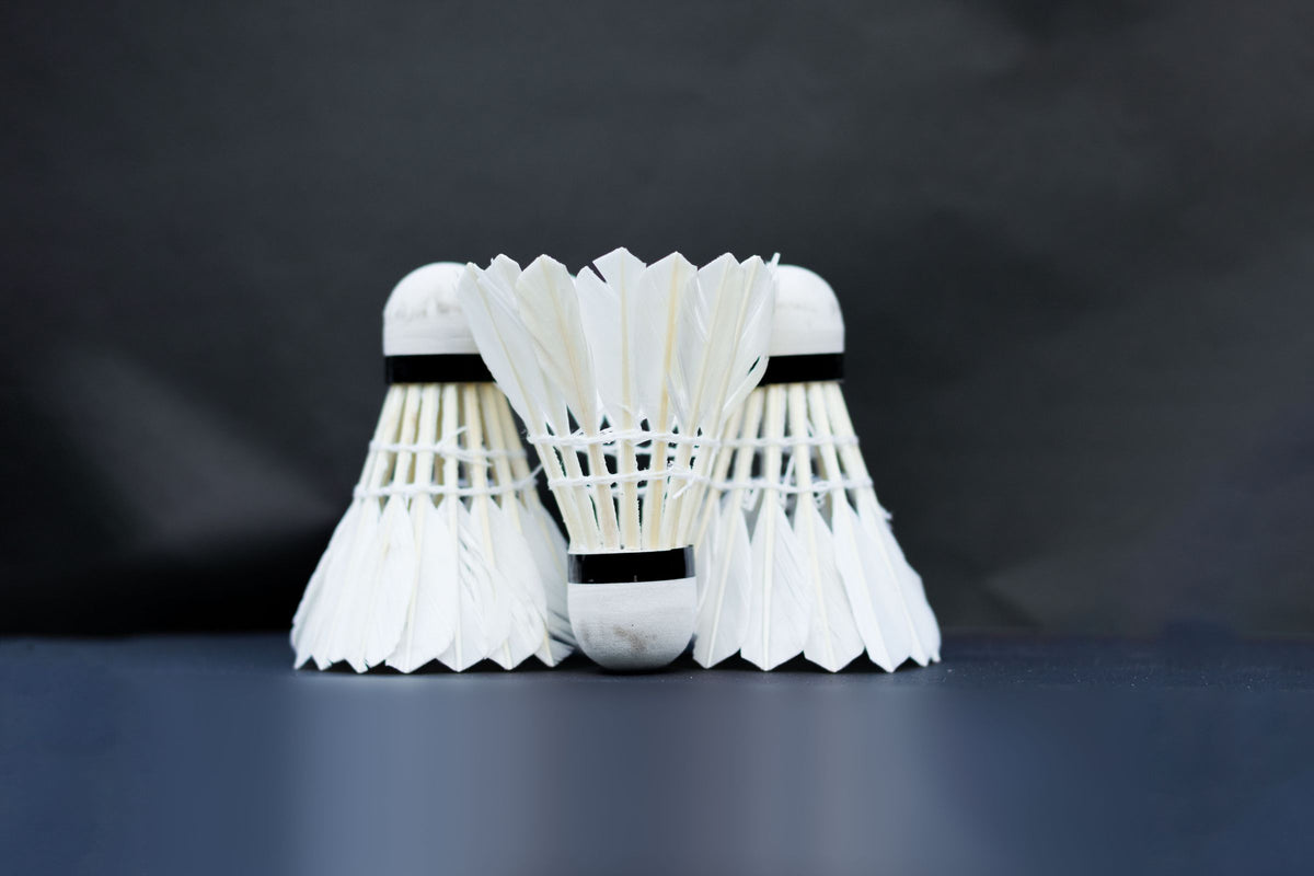White feather shuttlecocks on a dark court floor