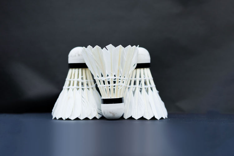 White feather shuttlecocks on a dark court floor