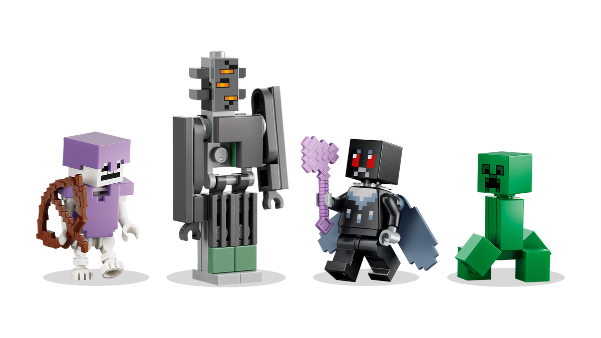 LEGO 21586 details