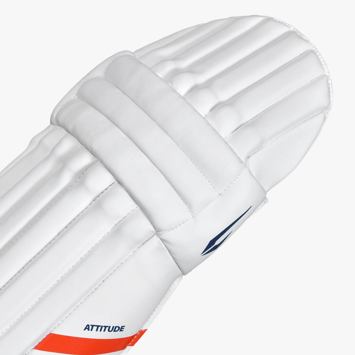 DSC Attitude Batting Pads