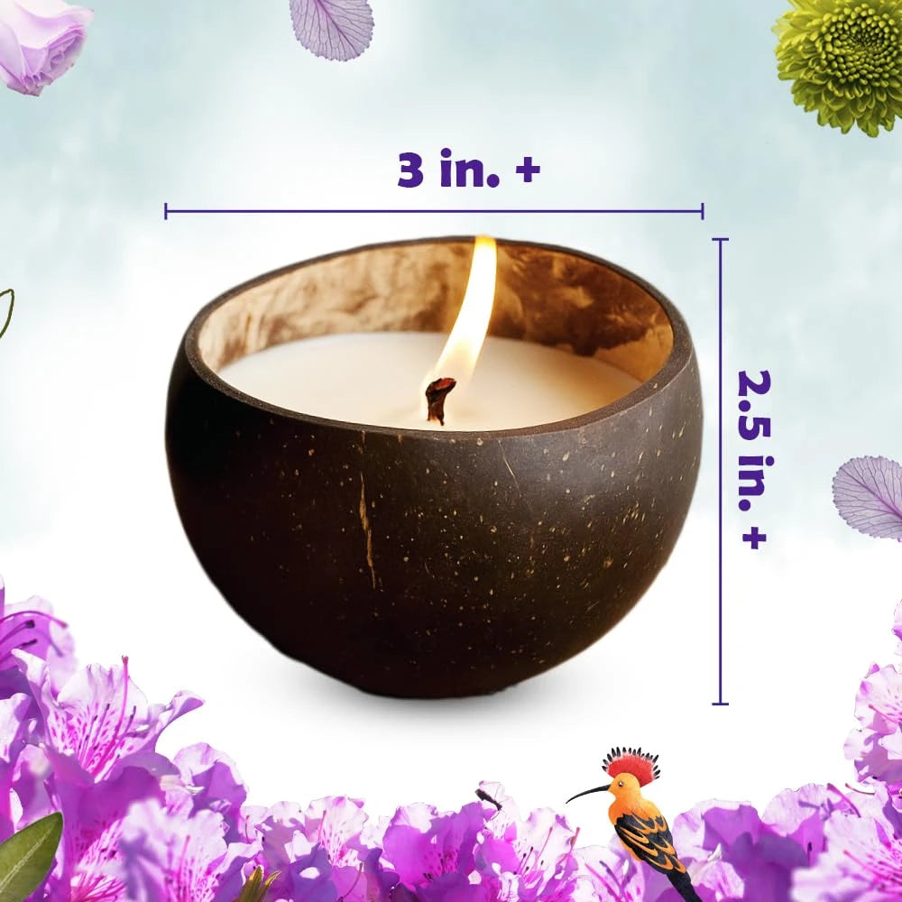 Coconut candle size